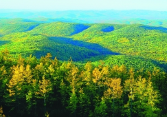 廣州到大興安嶺物流專線，廣州至大興安嶺貨運(yùn)公司