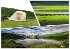 廣州到阿壩物流專線，專業(yè)運(yùn)輸廣州至阿壩貨運(yùn)公司