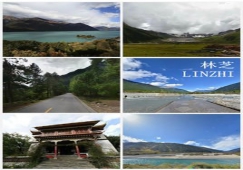 廣州到林芝物流專線，整車零擔(dān)配貨的廣州到林芝貨運(yùn)