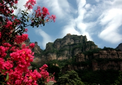 廣州到安陽物流專線，廣州到安陽貨運公司