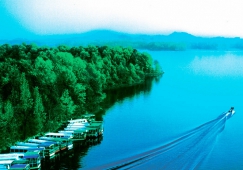 廣州到信陽物流專線，廣州到信陽貨運公司，物流運輸電話