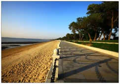 佛山到營(yíng)口物流專線|佛山到營(yíng)口物流公司|佛山到營(yíng)口貨運(yùn)專線