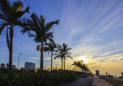 河源到朝陽(yáng)物流專(zhuān)線(xiàn)|河源到朝陽(yáng)貨運(yùn)公司|河源到朝陽(yáng)物流