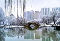 惠州到西寧物流專線|惠州到西寧貨運公司